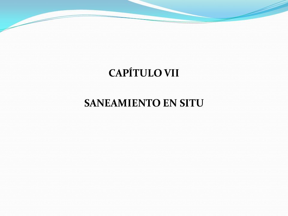 CAPÍTULO VII SANEAMIENTO EN SITU