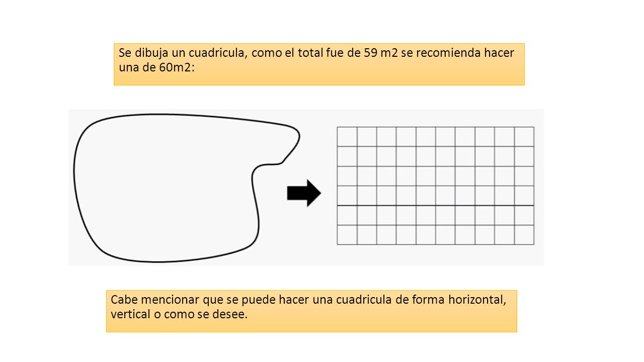 Se dibuja un cuadricula, como el total fue de 59 m2 se recomienda hacer una de 60m2: Cabe mencionar que se puede hacer una cuadricula de forma horizontal, vertical o como se desee.