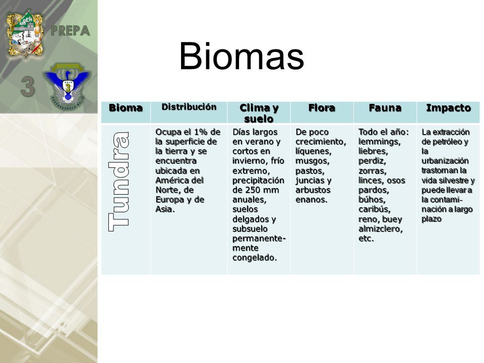 BIOMA DEFINICIÓ Extensión territorial que se caracteriza por cierto tipo de flora y fauna. - ppt descargar BIOMA DEFINICIÓ Extensión territorial que se caracteriza por cierto tipo de flora y fauna. - ppt descargar