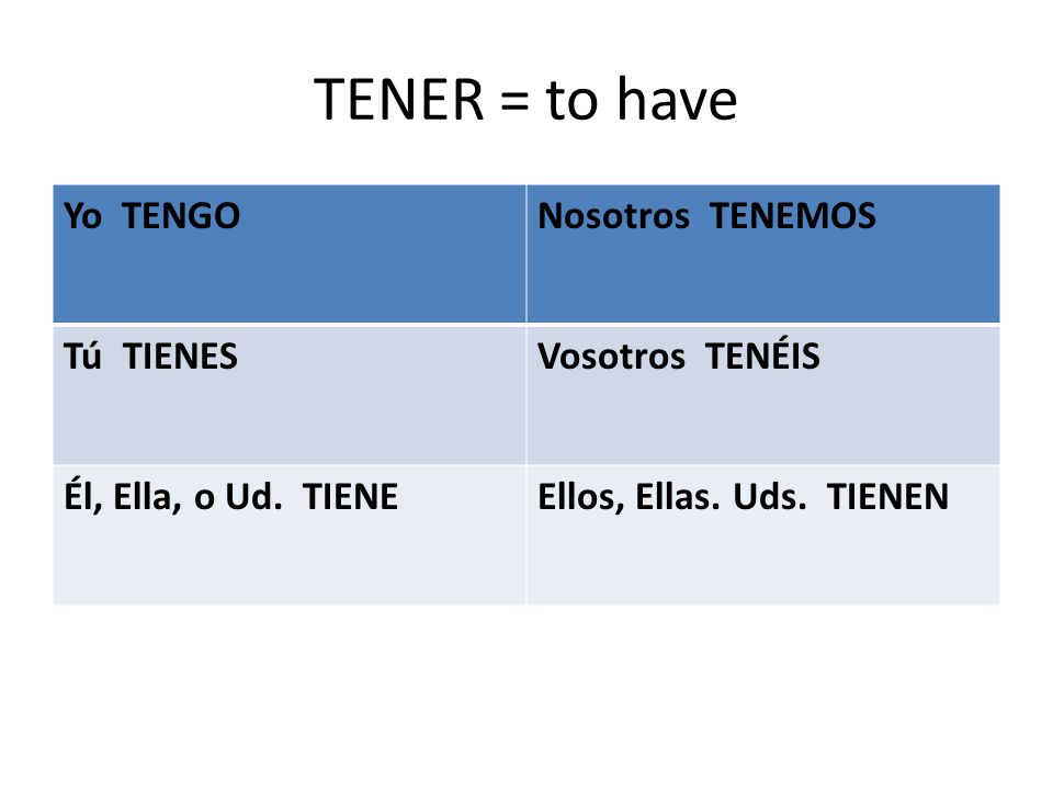 TENER = to have Yo TENGONosotros TENEMOS Tú TIENESVosotros TENÉIS Él, Ella, o Ud.