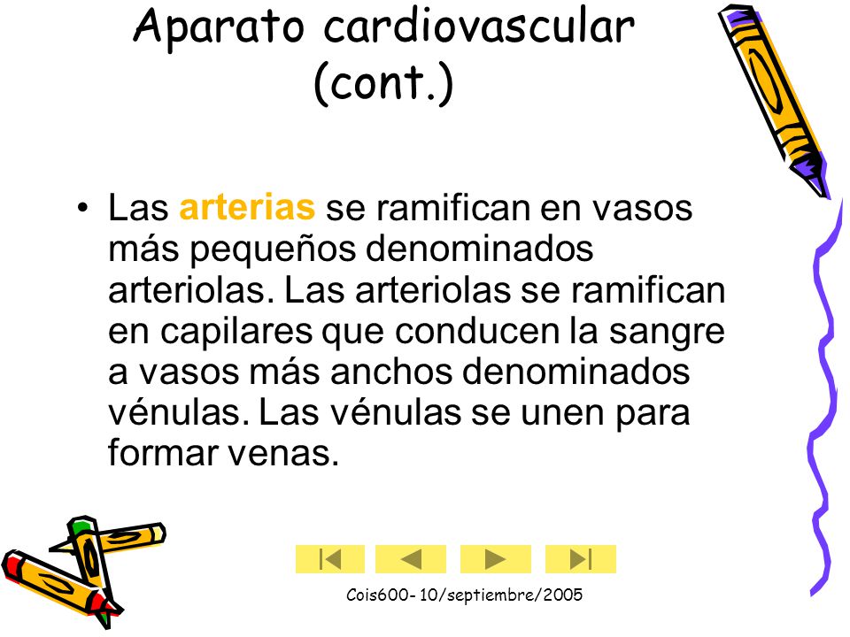 Cois /septiembre/2005 Aparato cardiovascular (cont.) Las arterias transportan sangre rica en oxígeno del corazón y las venas transportan sangre pobre en oxígeno al corazón.