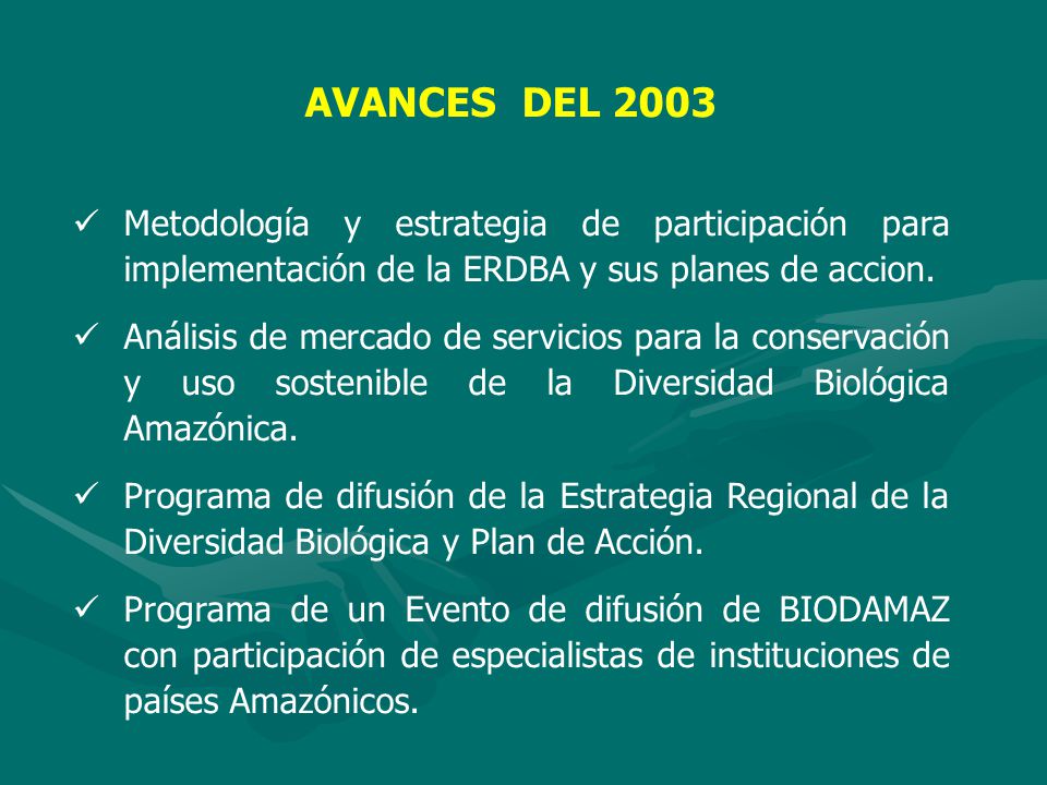 AVANCES DEL 2003 Metodología y estrategia de participación para implementación de la ERDBA y sus planes de accion.