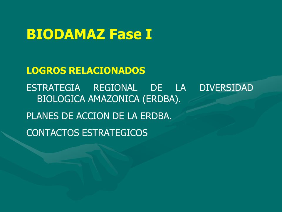 BIODAMAZ Fase I LOGROS RELACIONADOS ESTRATEGIA REGIONAL DE LA DIVERSIDAD BIOLOGICA AMAZONICA (ERDBA).