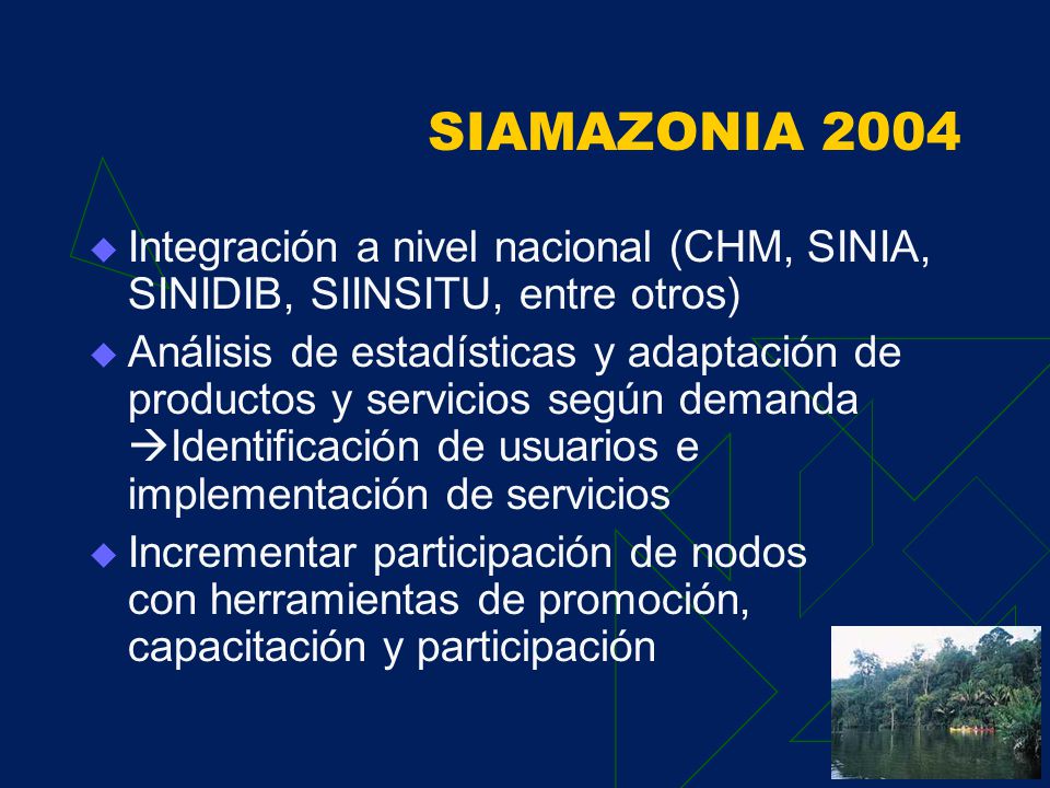 Resultados 2004 Propuesta de intercambio de experiencias de BIODAMAZ con países amazónicos andinos, incluyendo los proyectos internacionales en dichos países y tomando en cuenta las metas globales de desarrollo.