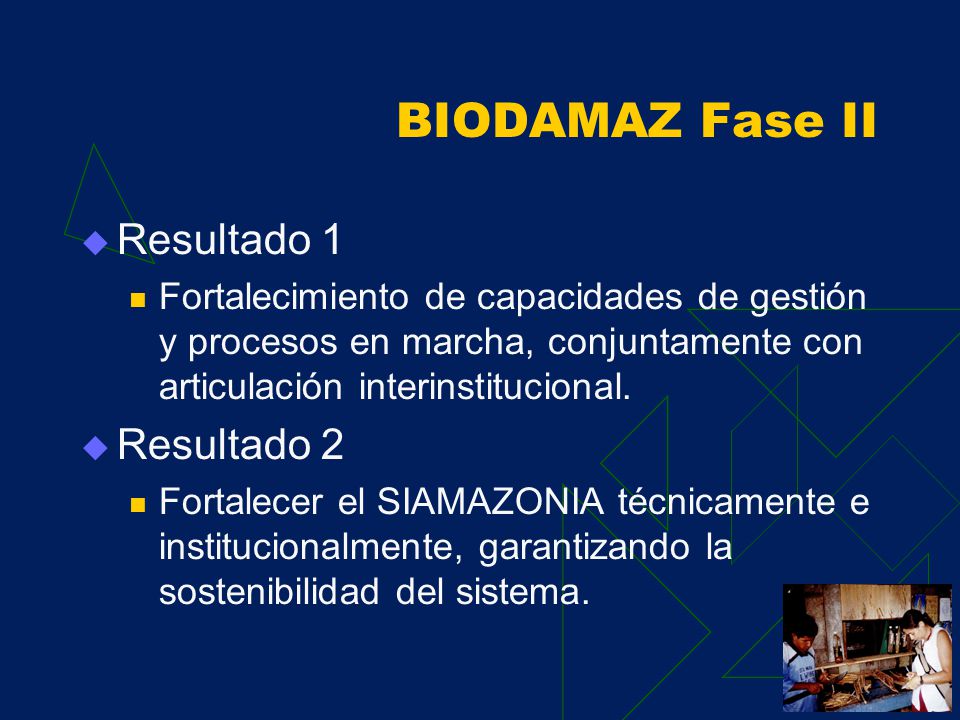 BIODAMAZ Fase II Componente 1 Desarrollo de capacidades descentralizadas para la implementación de la Estrategia Regional de la Diversidad Biológica Amazónica (ERDBA) y sus planes de acción en el marco de la Estrategia Nacional de la Diversidad Biológica del Perú.