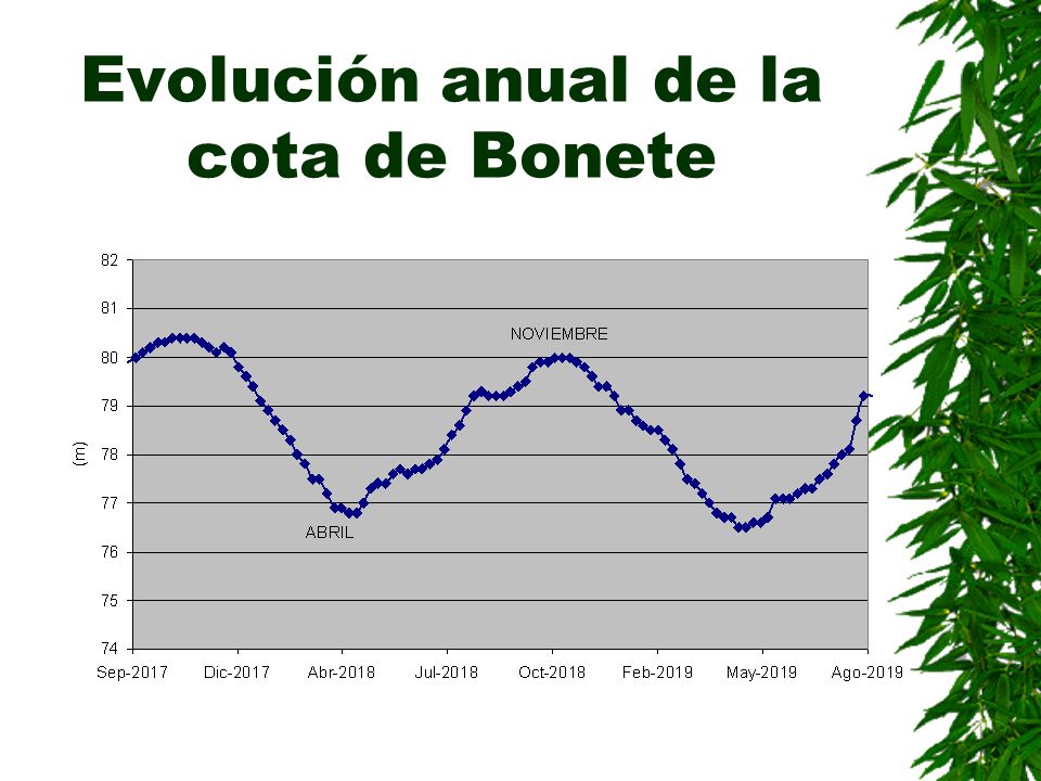 Evolución anual de la cota de Bonete