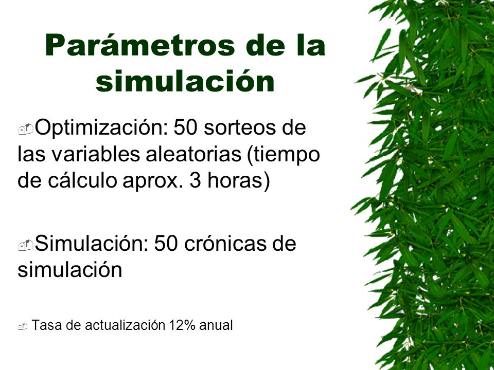 Parámetros de la simulación Optimización: 50 sorteos de las variables aleatorias (tiempo de cálculo aprox.