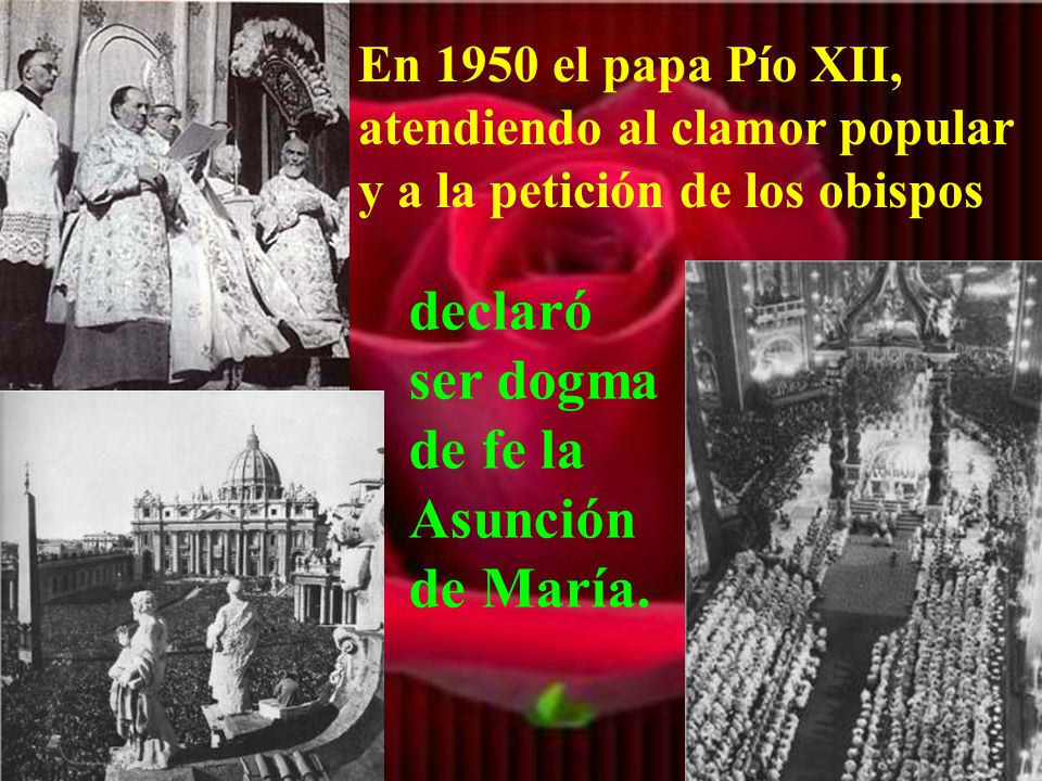 Por eso se erigieron muchas catedrales en honor de la Asunción de María.