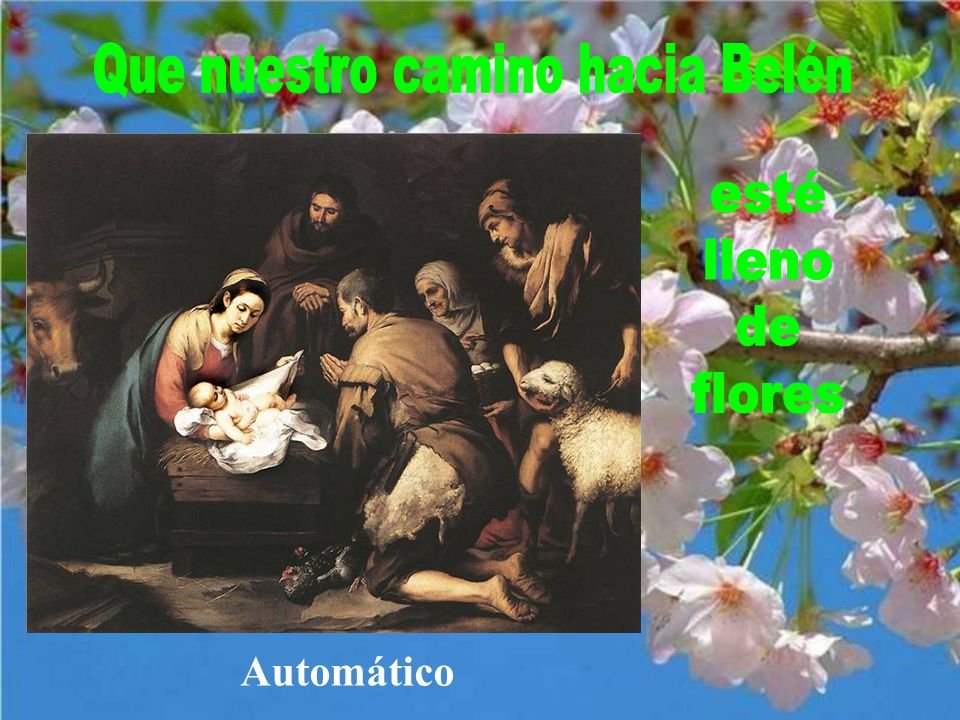 Flores para el Niño Jesús
