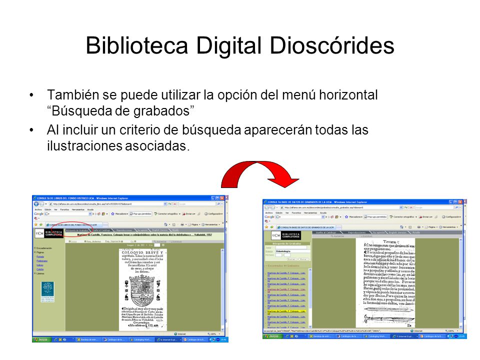 Biblioteca Digital Dioscórides También se puede utilizar la opción del menú horizontal Búsqueda de grabados Al incluir un criterio de búsqueda aparecerán todas las ilustraciones asociadas.