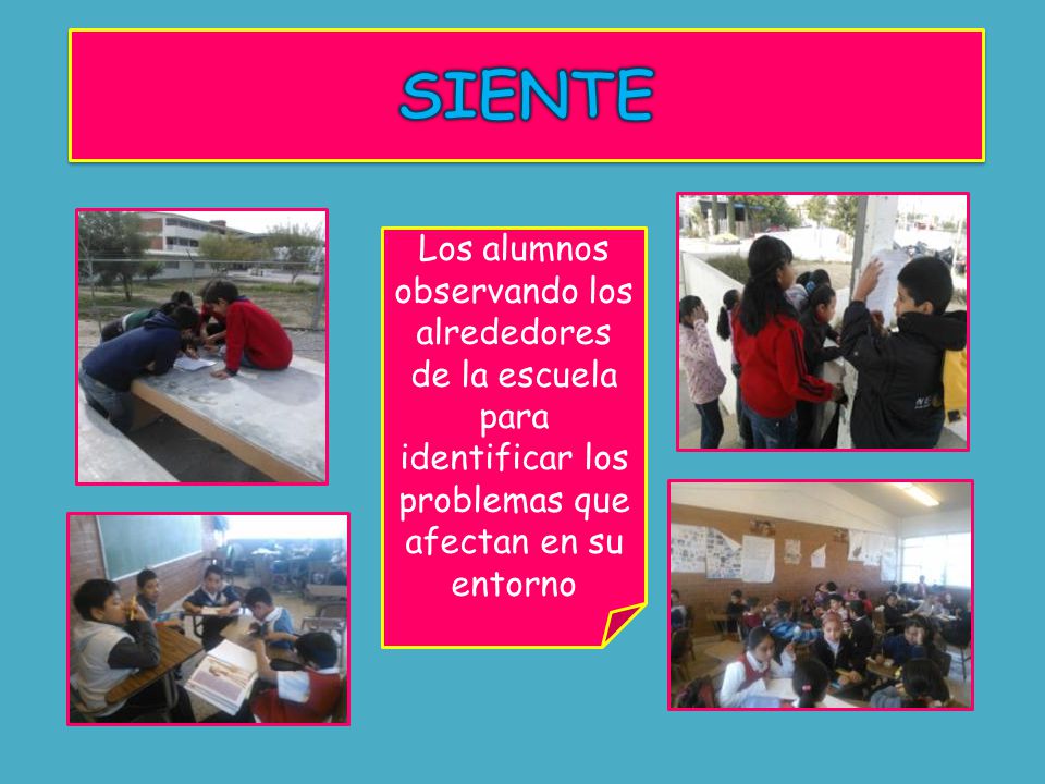 Los alumnos observando los alrededores de la escuela para identificar los problemas que afectan en su entorno
