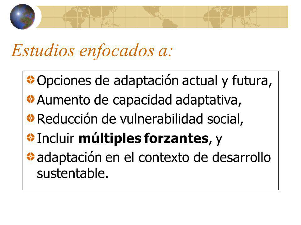 Estudios enfocados a: Opciones de adaptación actual y futura, Aumento de capacidad adaptativa, Reducción de vulnerabilidad social, Incluir múltiples forzantes, y adaptación en el contexto de desarrollo sustentable.