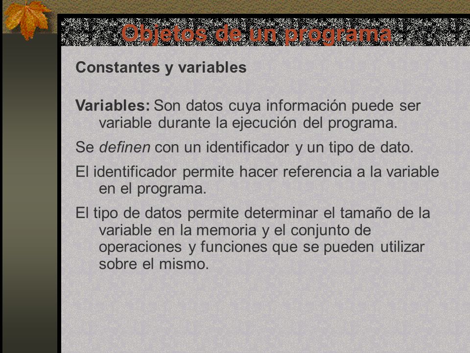 Objetos de un programa Constantes y variables Variables: Son datos cuya información puede ser variable durante la ejecución del programa.