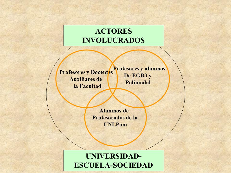 Profesores y Docentes Auxiliares de la Facultad UNIVERSIDAD- ESCUELA-SOCIEDAD Profesores y alumnos De EGB3 y Polimodal Alumnos de Profesorados de la UNLPam ACTORES INVOLUCRADOS