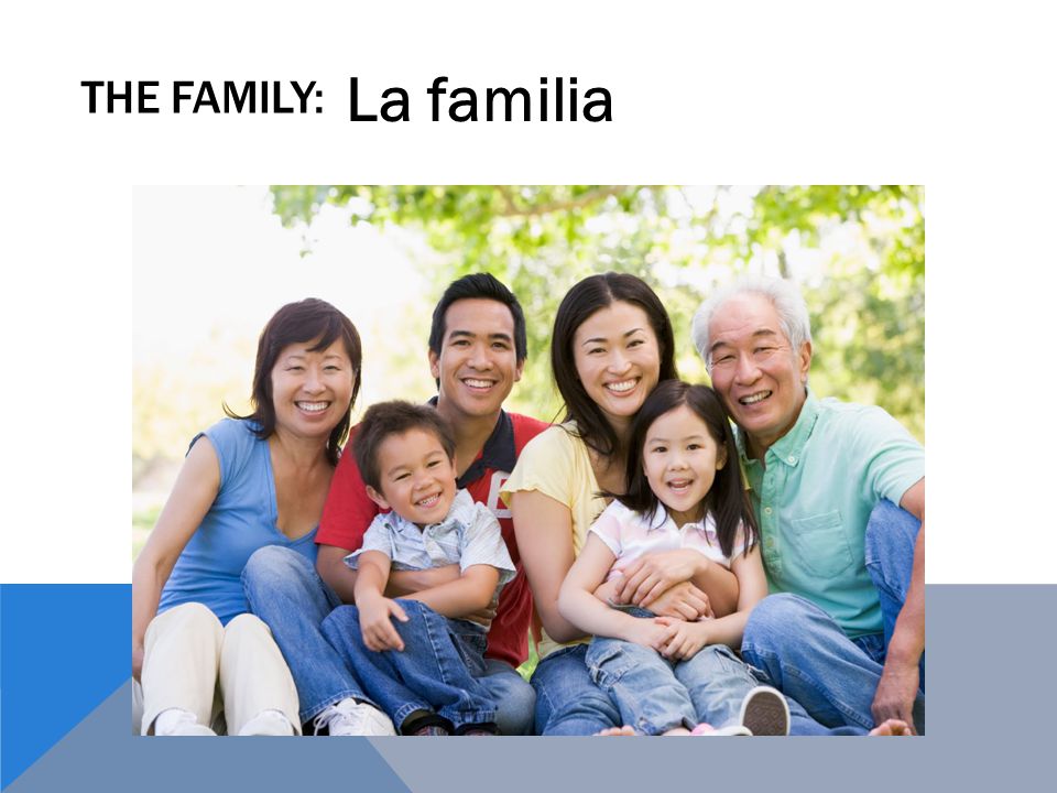 THE FAMILY: La familia