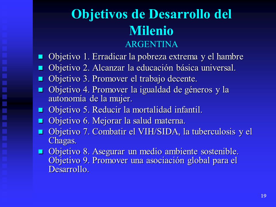 19 Objetivos de Desarrollo del Milenio ARGENTINA Objetivo 1.