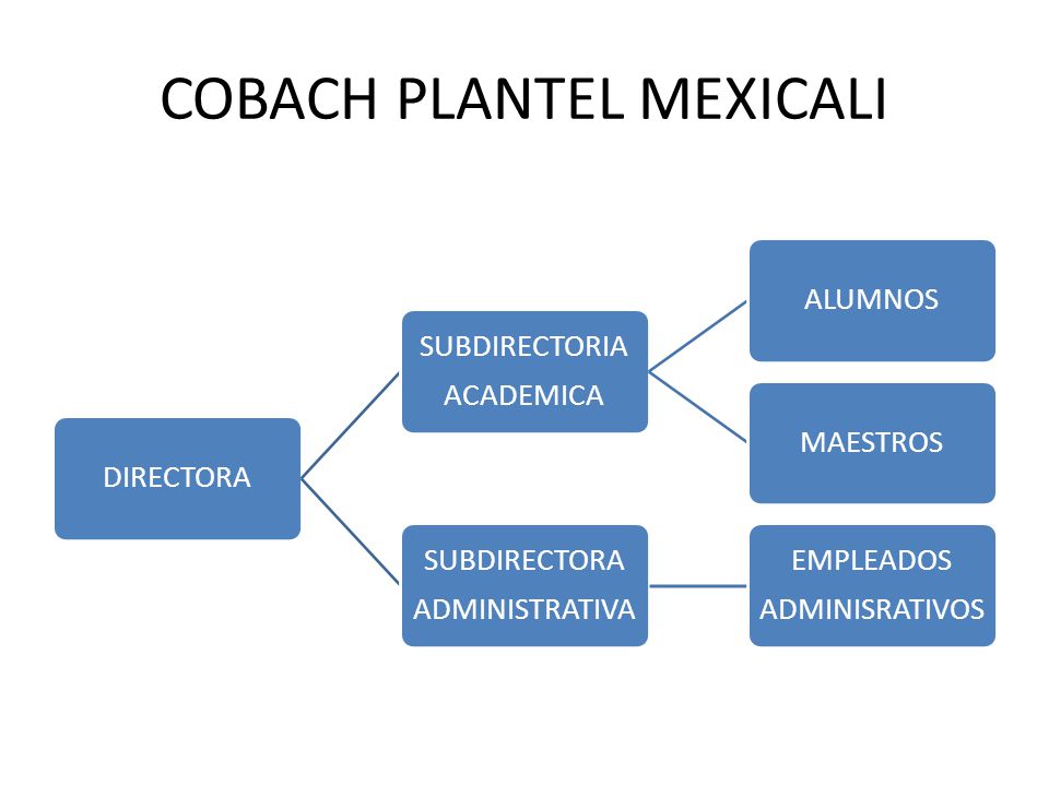 COBACH PLANTEL MEXICALI DIRECTORA SUBDIRECTORIA ACADEMICA ALUMNOSMAESTROS SUBDIRECTORA ADMINISTRATIVA EMPLEADOS ADMINISRATIVOS