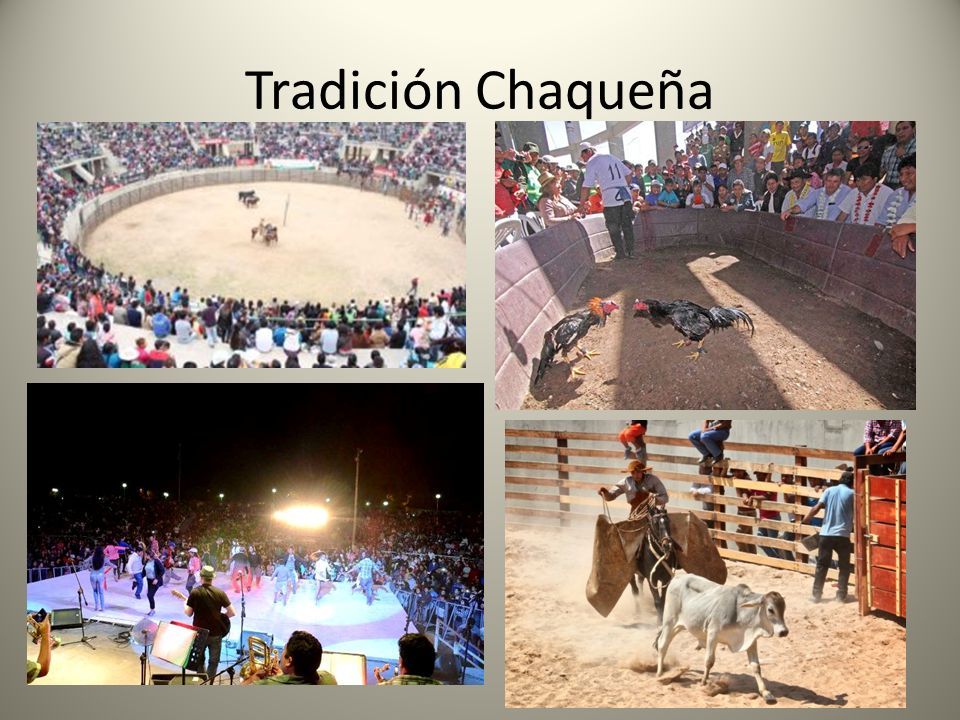 EL CHACO Costumbres y Tradiciones. Est n asentados a orillas del