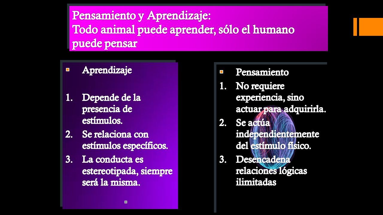 Aprendizaje Animal Aprendizaje Humano Ppt Descargar