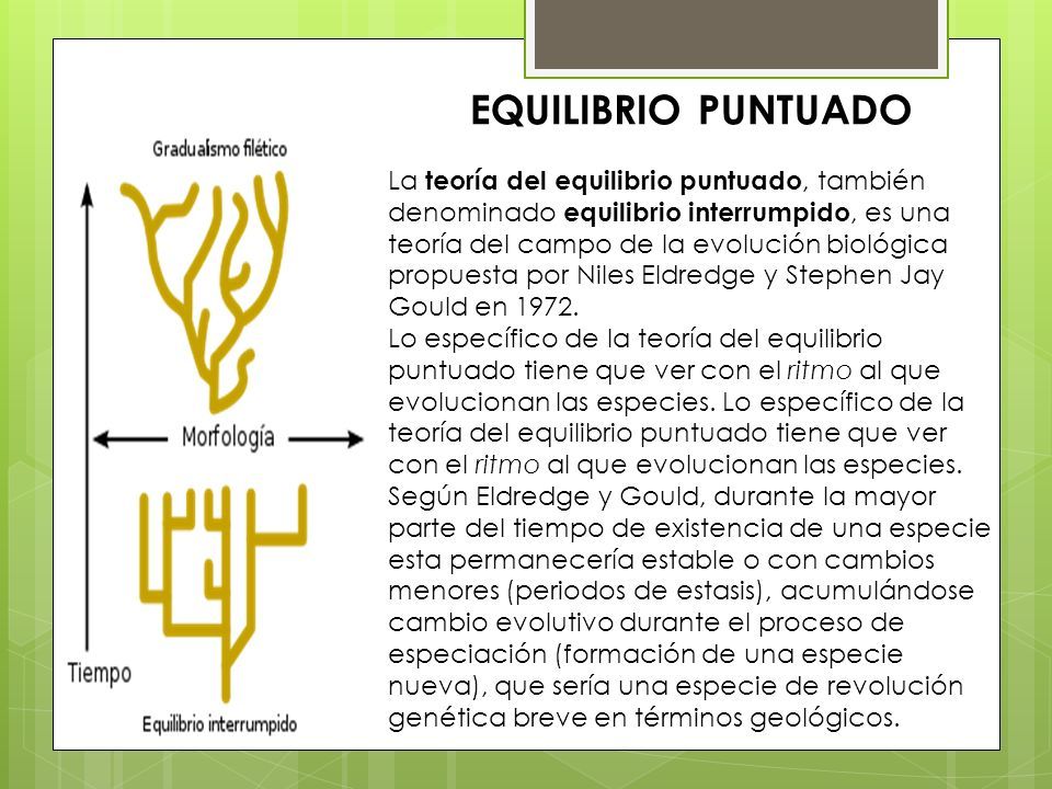 LAS TEORÍAS DEL ORIGEN DE LAS ESPECIES. “ Año del buen servicio al  ciudadano ” TEMA : Teorías del origen de las especies DOCENTE : Annette  Mauricio Espinoza. - ppt descargar