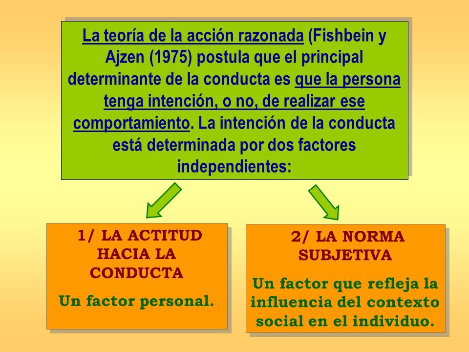 PROFESORA : Mª Teresa Sanz de Acedo Baquedano Curso - ppt descargar