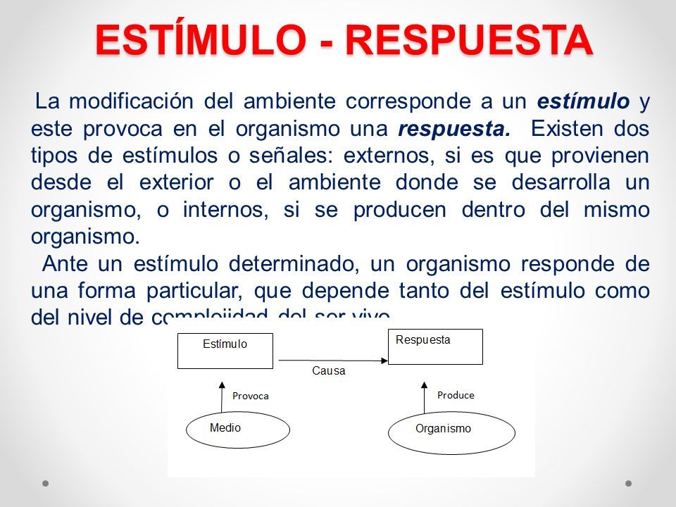 Comportamiento en los seres vivos. ESTÍMULO - RESPUESTA La modificación del  ambiente corresponde a un estímulo y este provoca en el organismo una  respuesta. - ppt descargar