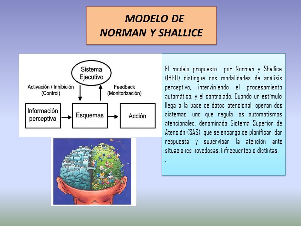 MODELOS DE ATENCIÓN - ppt descargar