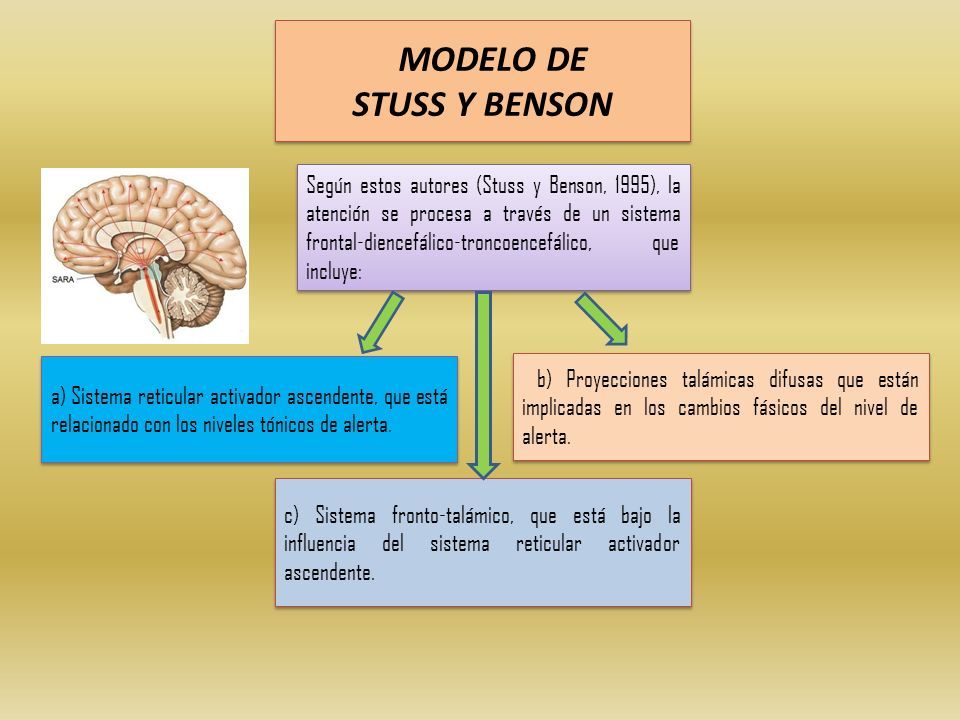 MODELOS DE ATENCIÓN - ppt descargar