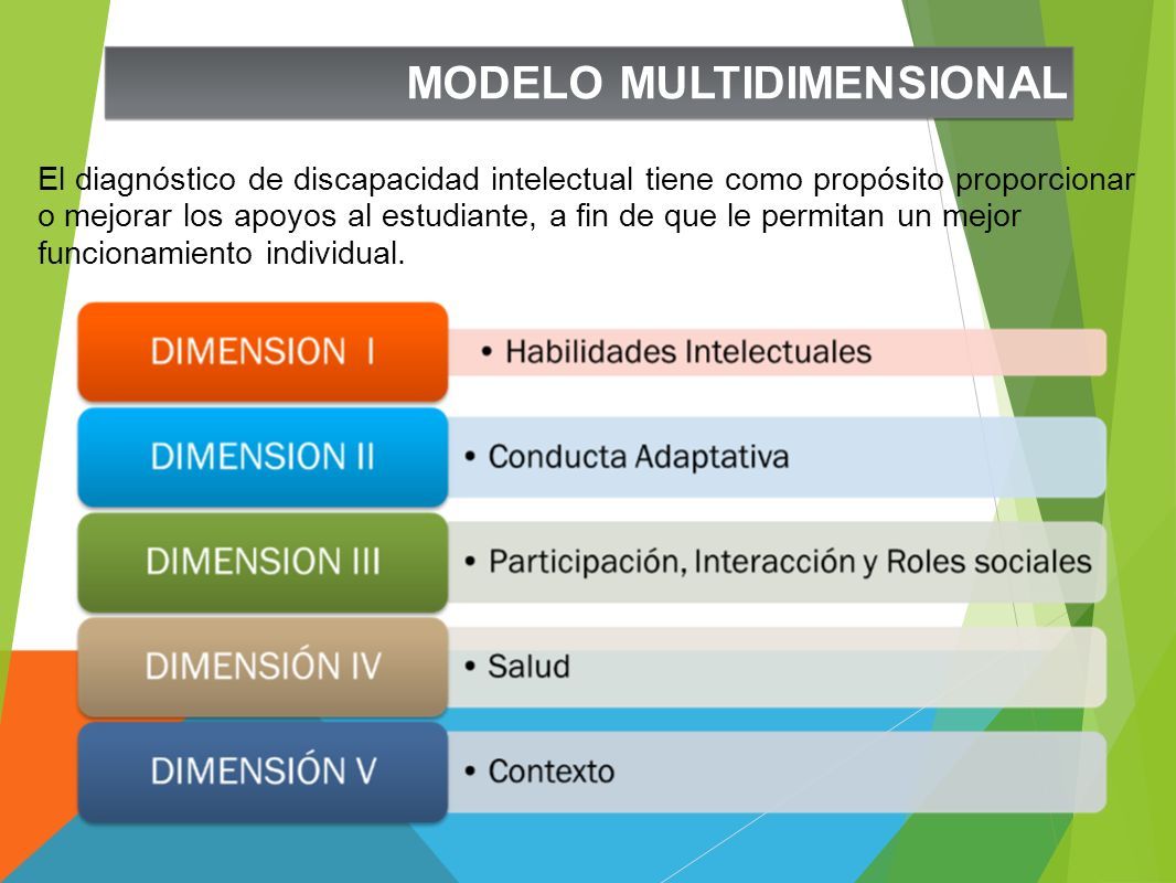 Diagnóstico, Clasificación Y Sistematización de Apoyos MODELO  MULTIDIMENSIONAL DE LA DISCAPACIDAD INTELECTUAL. - ppt descargar