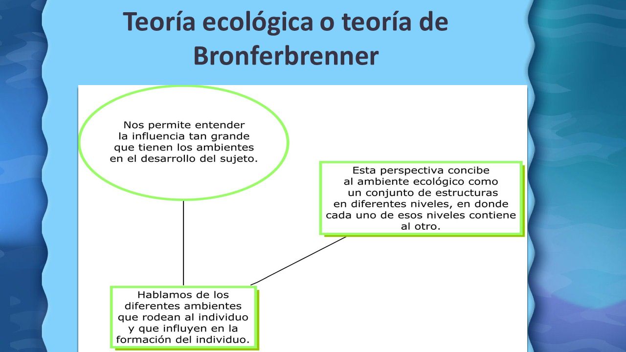 Identificar las principales características del modelo ecológico funcional.  - ppt descargar