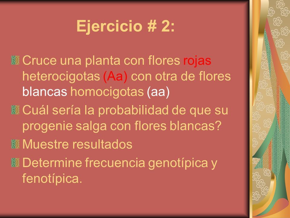 Genética Mendeliana Y Sorteo De Alelos Biol 3051 L Laboratorio # 10 ...