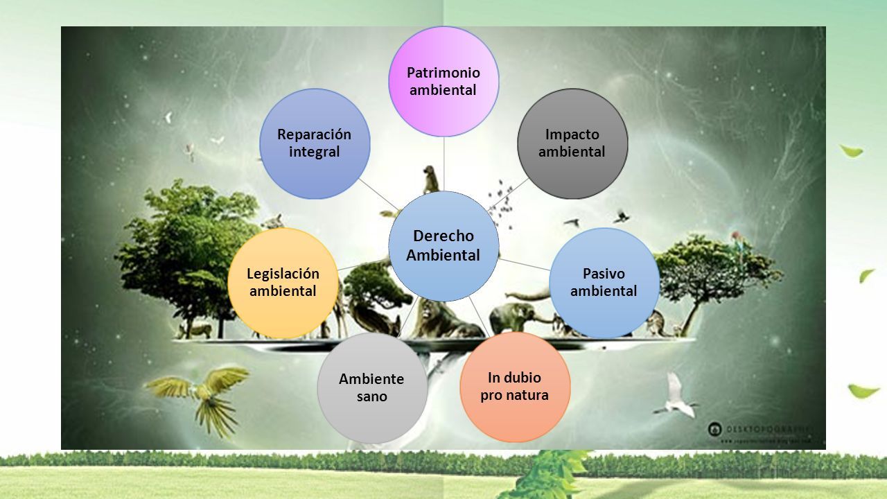 UNIVERSIDAD TECNICA DE MACHALA UNIDAD ACADEMICA DE CIENCIAS SOCIALES  DERECHO AMBIENTAL SEPTIMO SEMESTRE “A” DR. WILSON VILELA PINCAY TRABAJO  GRUPAL TEMA: - ppt descargar