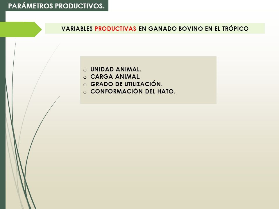 BOVINOS PARÁMETROS PRODUCTIVOS EN GANADERÍA. BOVINOS. . . . - ppt descargar BOVINOS PARÁMETROS PRODUCTIVOS EN GANADERÍA. BOVINOS. . . . - ppt descargar