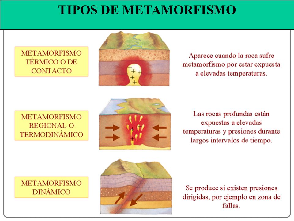 TIPOS DE METAMORFISMO