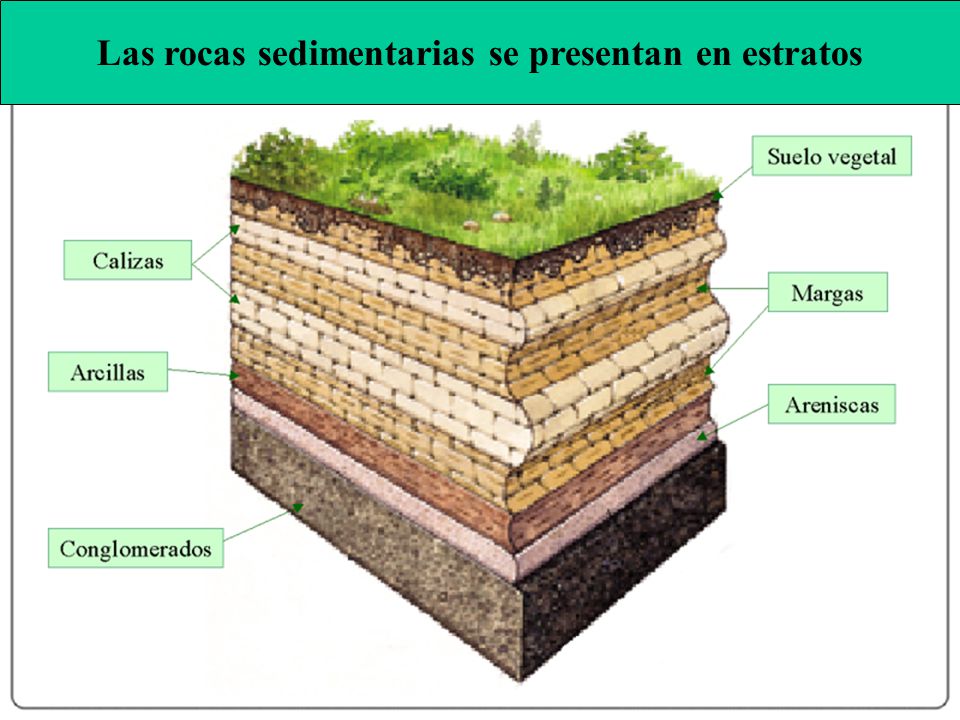 Las rocas sedimentarias se presentan en estratos