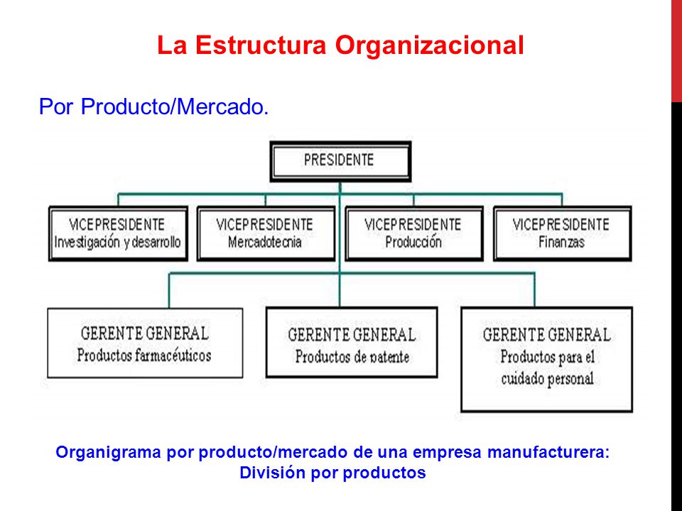 Estructura organizacional de la empresa ford #7