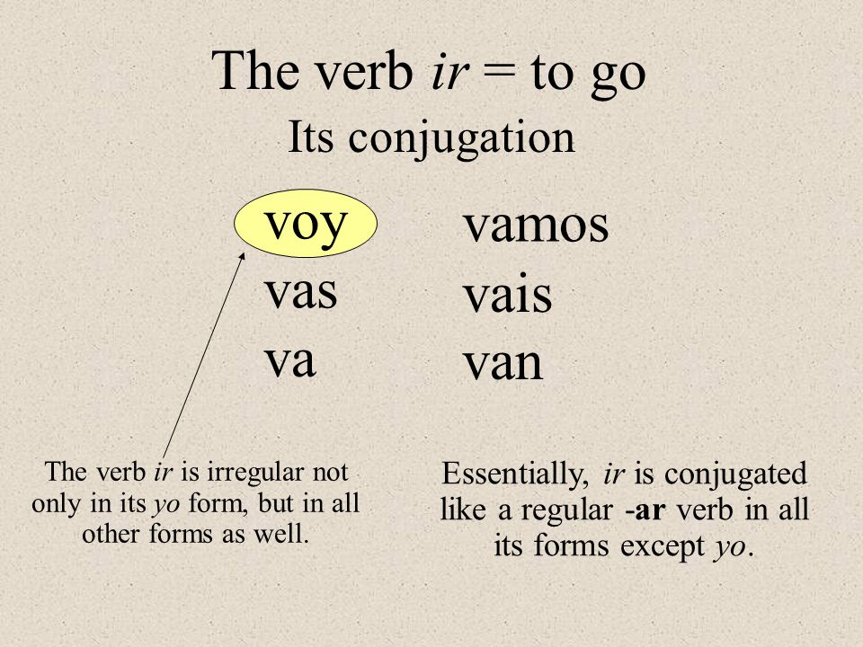 The verb ir = to go Its conjugation The verb ir is irregular not only in its yo form, but in all other forms as well.
