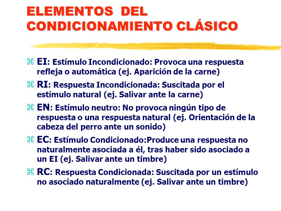 Domjan Principios De Aprendizaje Y Conducta Epub