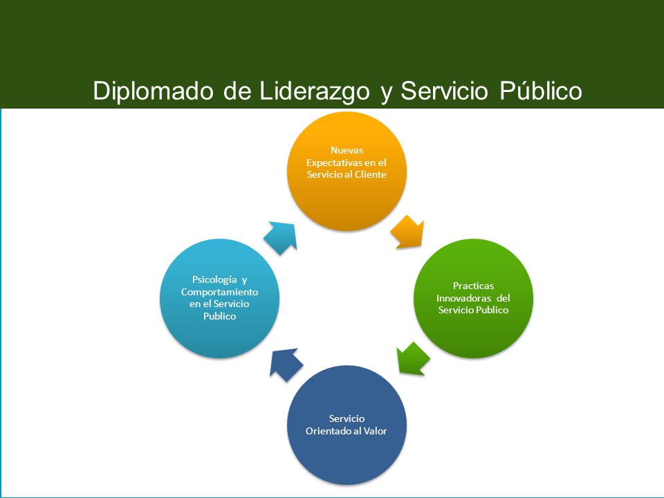 Diplomado de Liderazgo y Servicio Público Nuevas Expectativas en el Servicio al Cliente Practicas Innovadoras del Servicio Publico Servicio Orientado al Valor Psicología y Comportamiento en el Servicio Publico