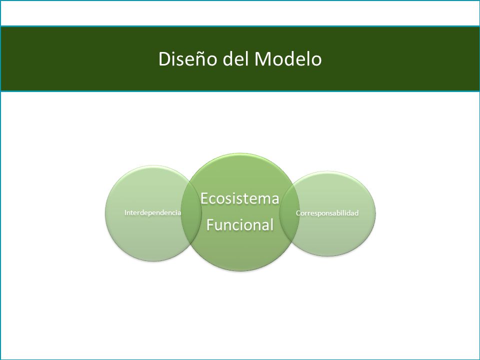 Ecosistema Funcional Interdependencia Corresponsabilidad Diseño del Modelo