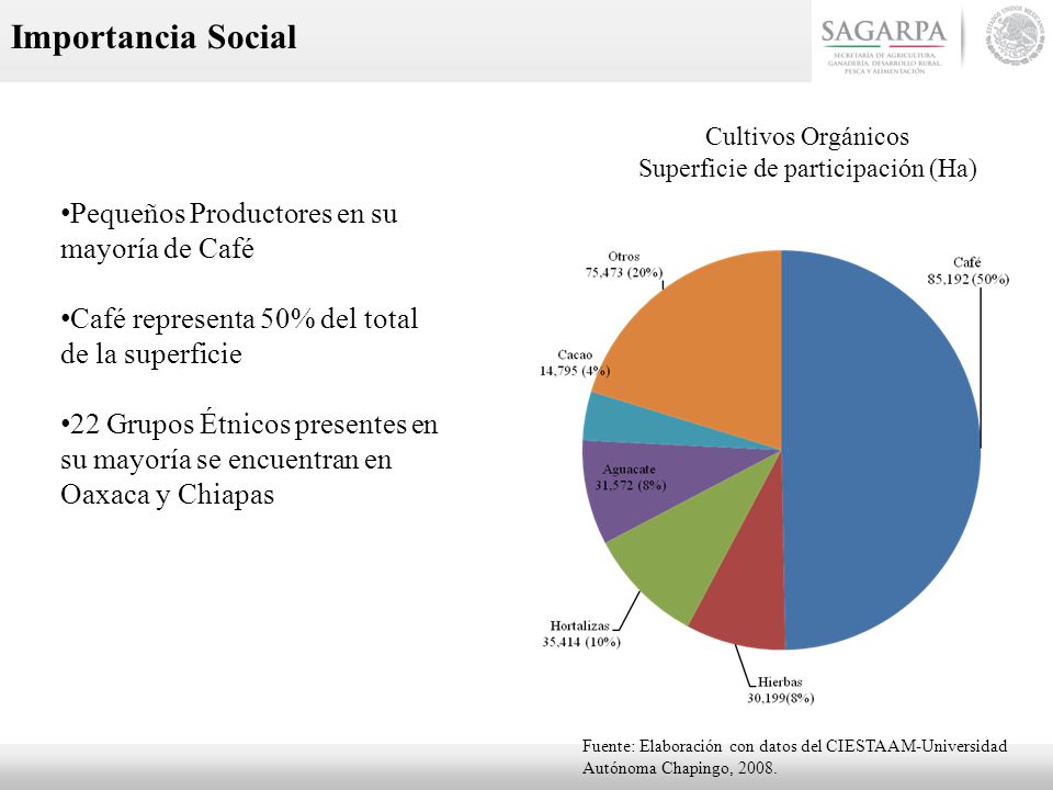 Pequeños Productores en su mayoría de Café Café representa 50% del total de la superficie 22 Grupos Étnicos presentes en su mayoría se encuentran en Oaxaca y Chiapas Cultivos Orgánicos Superficie de participación (Ha) Importancia Social Fuente: Elaboración con datos del CIESTAAM-Universidad Autónoma Chapingo, 2008.