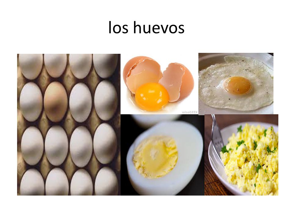 los huevos