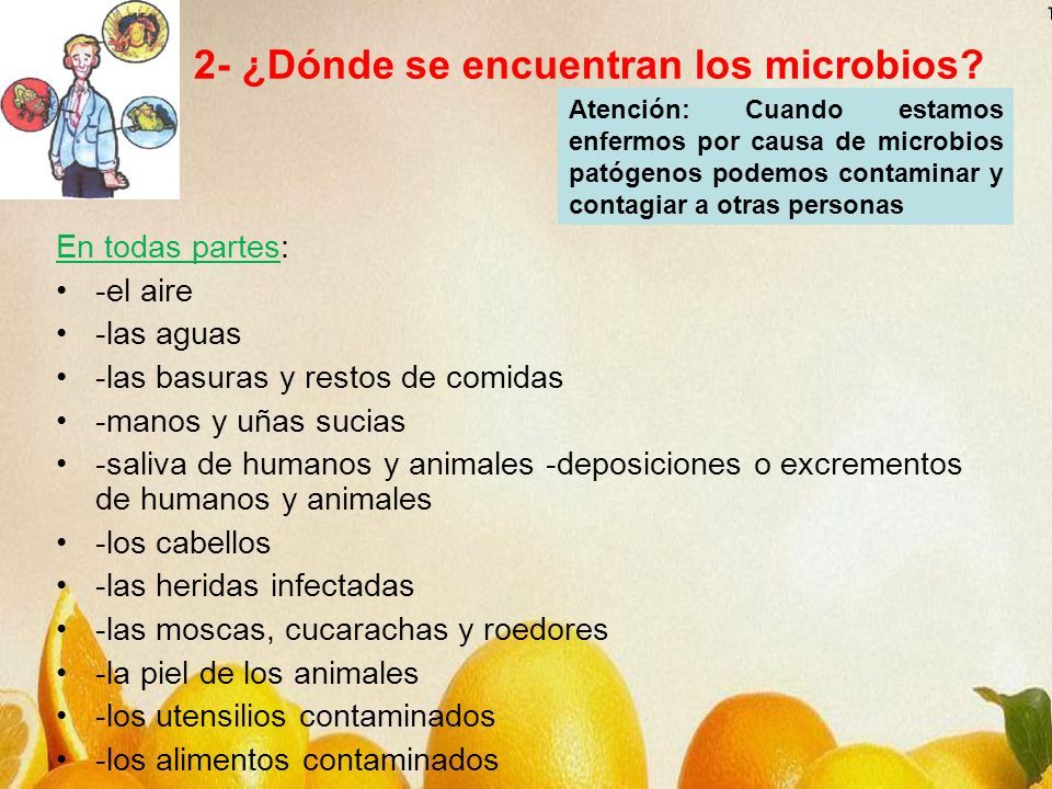 Resultado de imagen para  MANIPULAR EXCREMENTOS DE ANIMALES