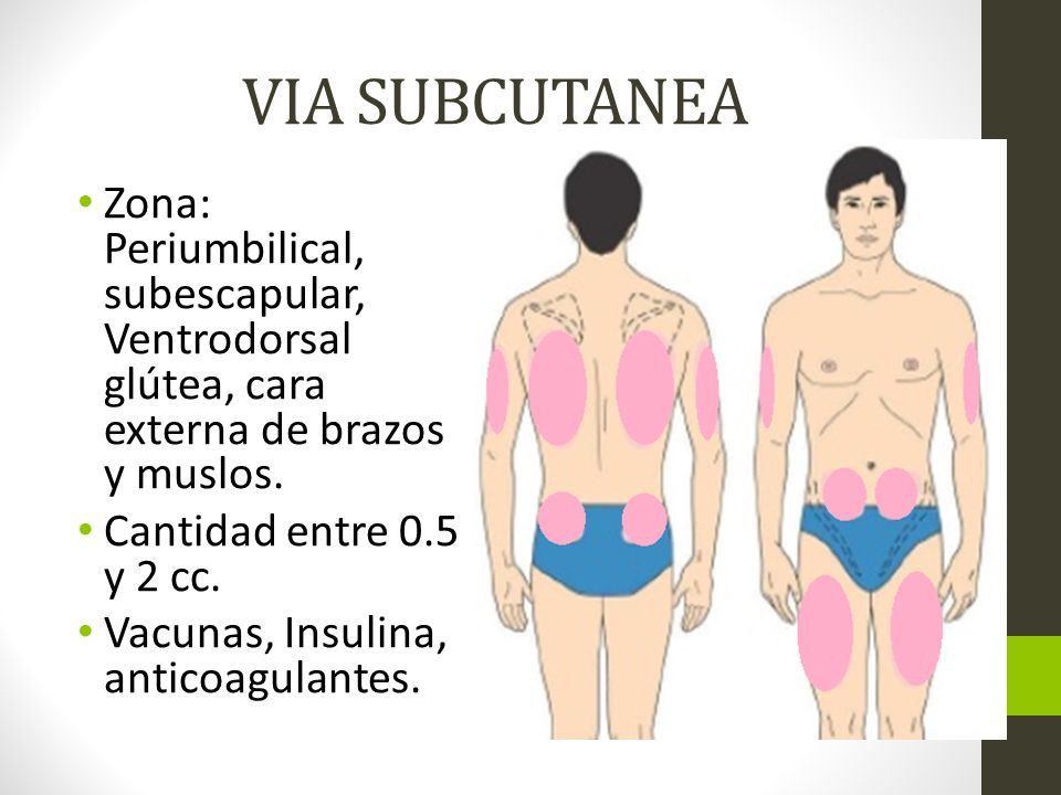 glúteo ventrodorsal