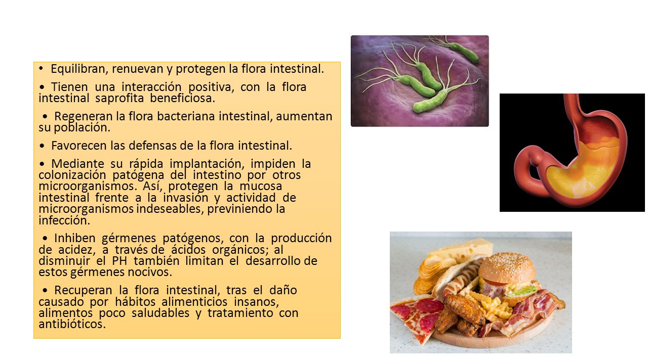 Probioticos Nutricion Clinica Ppt Descargar