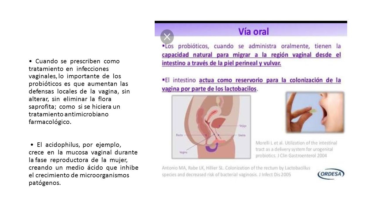 Probioticos Nutricion Clinica Ppt Descargar