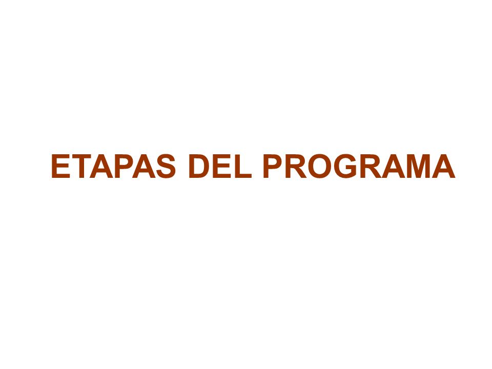 ETAPAS DEL PROGRAMA