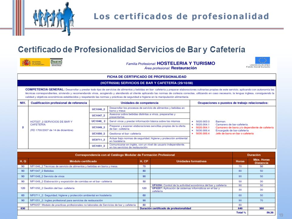 19 Certificado de Profesionalidad Servicios de Bar y Cafetería