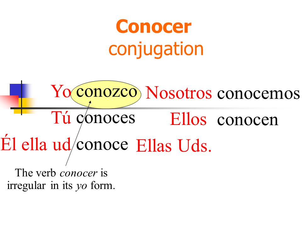 Conocer conjugation conozco conoces conoce conocemos conocen The verb conocer is irregular in its yo form.