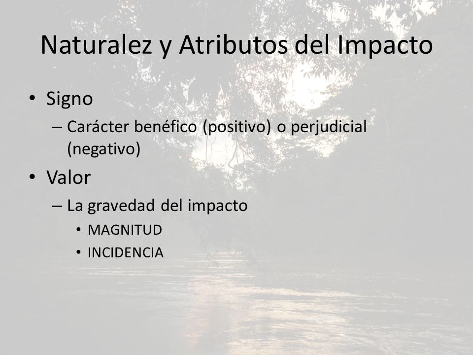 Naturalez y Atributos del Impacto Signo – Carácter benéfico (positivo) o perjudicial (negativo) Valor – La gravedad del impacto MAGNITUD INCIDENCIA